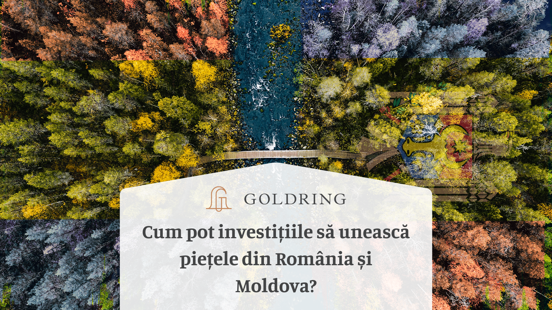 Cum pot investițiile să unească piețele din România și Moldova?